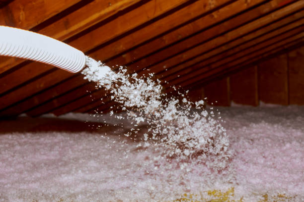 Best Affordable Insulation Services  in Wilson, PA