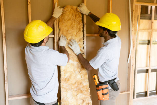 Best Fiberglass Insulation  in Wilson, PA