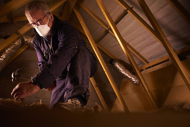 Best Best Insulation Companies  in Wilson, PA